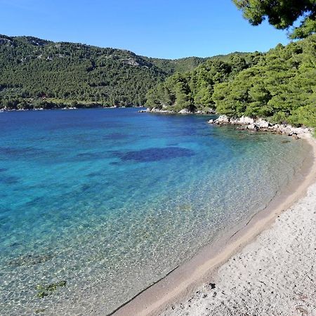 Apartments By The Sea Zuljana, Peljesac - 19080 Eksteriør billede