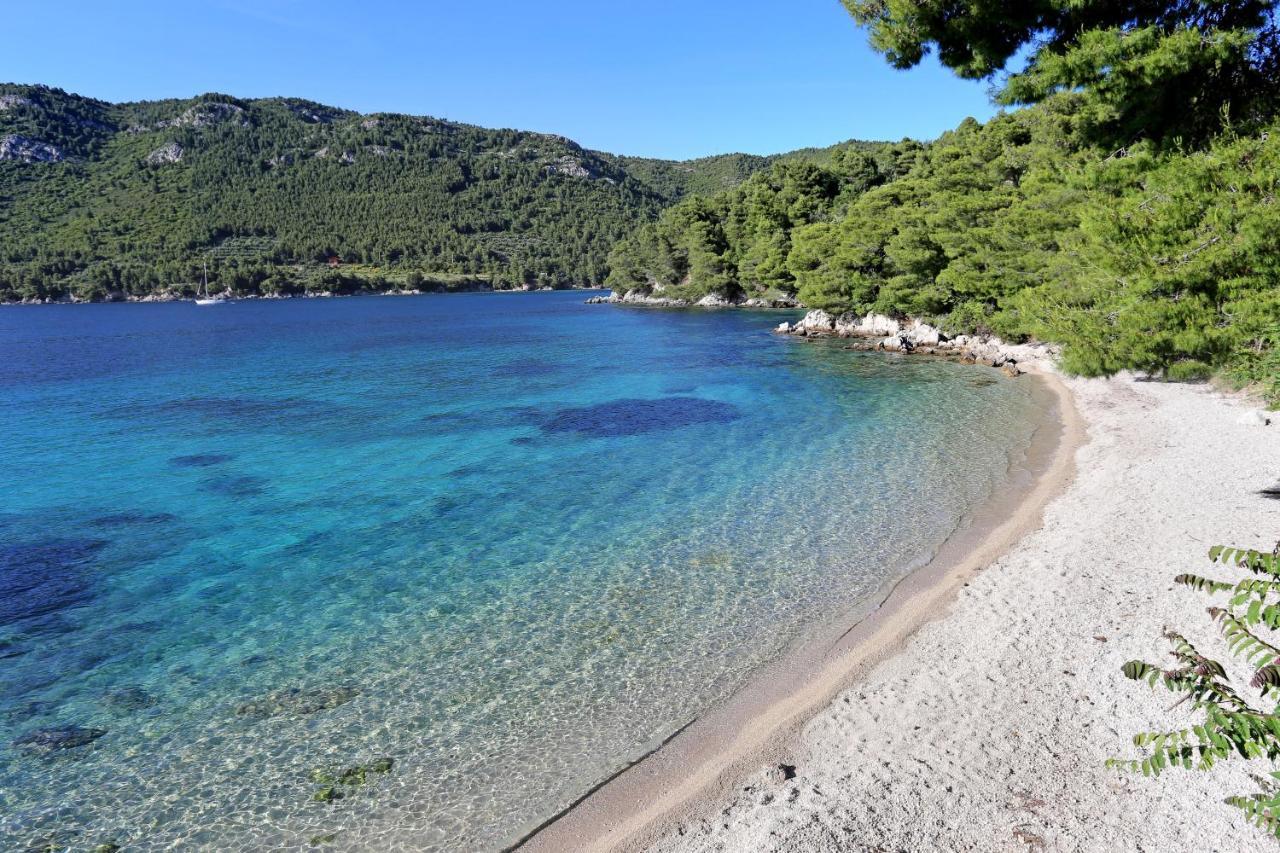 Apartments By The Sea Zuljana, Peljesac - 19080 Eksteriør billede